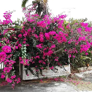 https://chez-regine.comcaribbean.com